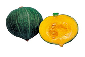 䂫 tBR[g100 Z J{` ڂ c yc   ^l zyʏ5{ 5̂̓|Cg10{ΏۊOi|Cg3{Œ菤iz