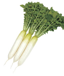  tBR[g2dl 卪 _CR  c yc   ^l zyʏ5{ 5̂̓|Cg10{ΏۊOi|Cg3{Œ菤iz