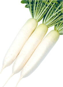ӁXG tBR[g8000 卪 _CR  c yc   ^l zyʏ5{ 5̂̓|Cg10{ΏۊOi|Cg3{Œ菤iz