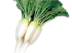 tq tBR[g5痱 卪 _CR  c yc   ^l zyʏ5{ 5̂̓|Cg10{ΏۊOi|Cg3{Œ菤iz