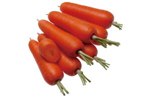 ꂢ߂ܐ 2dl jW ɂ񂶂 lQ EGLz lA ylA   ^l zyʏ5{ 5̂̓|Cg10{z