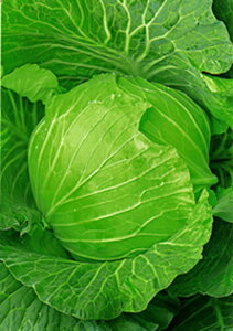 ΐH 20ml Lxc EGLz lA ylA   ^l zyʏ5{ 5̂̓|Cg10{z