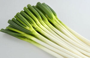 Ђ1 1dl K lM ˂ EGLz lA ylA   ^l zyʏ5{ 5̂̓|Cg10{z