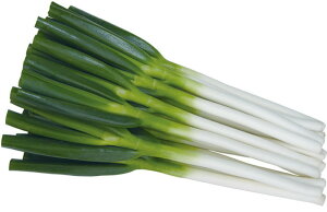 ܂ 2LR[g6痱 K lM ˂ EGLz lA ylA   ^l zyʏ5{ 5̂̓|Cg10{z