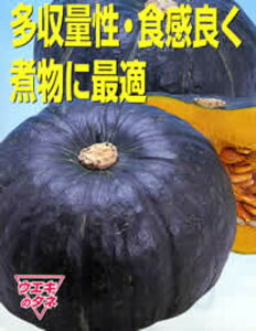 ς낤 2dl Z J{` ڂ EGLz lA ylA   ^l zyʏ5{ 5̂̓|Cg10{z