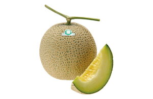 둁tӏH309 100 ߂  rZ EGLz lA ylA   ^l zyʏ5{ 5̂̓|Cg10{z