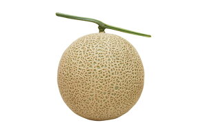 H~412 100 ߂  rZ EGLz lA ylA   ^l zyʏ5{ 5̂̓|Cg10{z