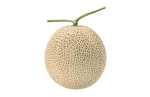 ݂Ɓi~^Cvj 100 ߂  rZ EGLz lA ylA   ^l zyʏ5{ 5̂̓|Cg10{z