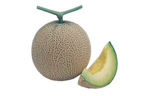 Čn 100 ߂  rZ EGLz lA ylA   ^l zyʏ5{ 5̂̓|Cg10{z