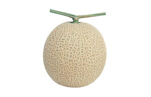 H~n 100 ߂  rZ EGLz lA ylA   ^l zyʏ5{ 5̂̓|Cg10{z