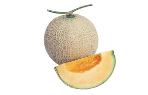 ܏tHn 100 ߂  rZ EGLz lA ylA   ^l zyʏ5{ 5̂̓|Cg10{z