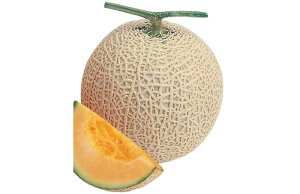 ܏H~n 100 ߂  rZ EGLz lA ylA   ^l zyʏ5{ 5̂̓|Cg10{z