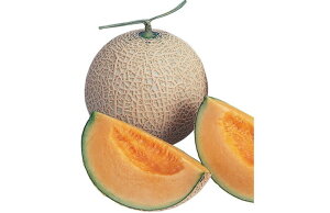 UA-504i~^Cvj 100 ߂  rZ EGLz lA ylA   ^l zyʏ5{ 5̂̓|Cg10{z