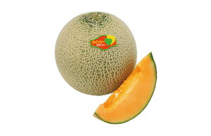 ẴNCV[ 100 ߂  rZ EGLz lA ylA   ^l zyʏ5{ 5̂̓|Cg10{z