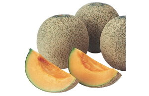 ẴNCV[ 100 ߂  rZ EGLz lA ylA   ^l zyʏ5{ 5̂̓|Cg10{z