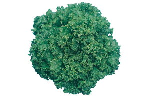 fBAiUC-040j LR[g5痱 ^X EGL琬 lA ylA   ^l zyʏ5{ 5̂̓|Cg10{z