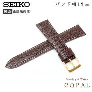 yő2000~OFFN[|zzz 19mm ZCR[  oh  v VN DXG9 uE  xg  SEIKO