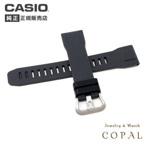 JVI  vgbN oh PRG-30-1 ubN  xg CASIO