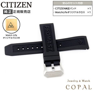 yő2000~OFFN[|zzz V`Y v}X^[ _Co[YEHb`p  E^ oh 59-R50254 xg ubN 22mm CITIZEN NXt