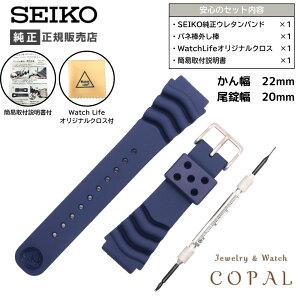 22mm ZCR[  xg _Co[Y VR o[RS04K22NY1 ol_ O t Y E^ lCr[ v  oh SEIKO NX ȈՎ戵t