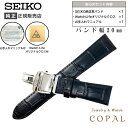 20mm セイコー バンド Dバックル 牛革 ワニタケフ カーフ ブラック メンズ SEIKO 時計 ベルト 黒 クロス お手入れマニ…