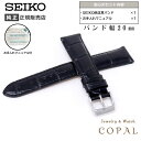 【最大2000円OFFクーポン配布】 20mm セイコー 純正 バンド 牛 革 ワニタケフ 型押 RS01C20BK メンズ レディース 黒 ブラック ベルト 交換 SEIKO お手入れマニュアル付