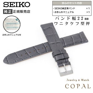 yő2000~OFFN[|zzz 22mm ZCR[  oh  v j^Pt ^ RS03C22GY O[ DF xg  SEIKO }jAt