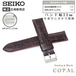 yő2000~OFFN[|zzz 22mm ZCR[  oh  v j^Pt ^ RS06S22BN  uE xg  SEIKO }jAt