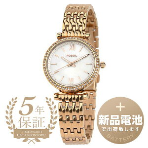 yVidrňSoׁz tHbV J[[ ~j rv FOSSIL CARLIE MINI ES4648 zCg fB[X uh v Vi