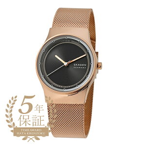 �X�J�[�Q�� �X�J�[�Q�� �\�� �r���v SKAGEN SKAGEN SOL SKW3023 �u���b�N ���f�B�[�X �u�����h ���v �V�i