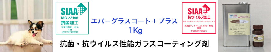 エバーグラスコート＋プラス
