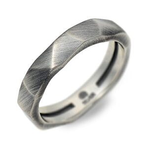 AQUA SILVER ANAVo[ Vo[ O w O[ 20 30 lC uh v[g