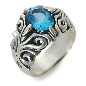 Magische Vissen }WFXtBbZ Vo[ O w gp[Y u[ ގ Y v[g