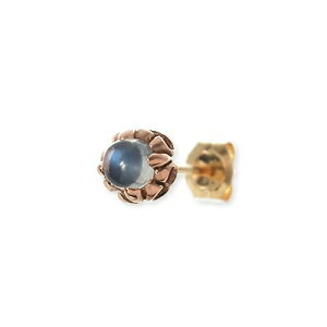 Magische Vissen }WFXtBbZ sNS[h sAX [Xg[ sN ޏ fB[X v[g