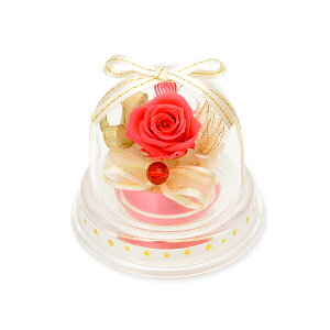 薔薇 メッセージカードの人気商品 通販 価格比較 価格 Com 薔薇 メッセージカードの人気商品 通販 価格比較 価格 Com