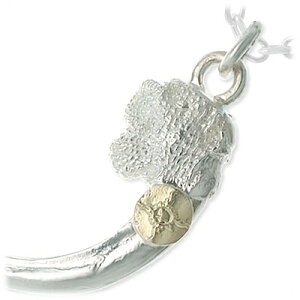 FIRST ARROW's t@[XgA[Y Vo[ lbNX zCg ގ Y v[g