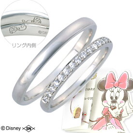 Disney プラチナ ペアリング マリッジリング 結婚指輪 ダイヤモンド 名入れ 刻印 彼女 彼氏 レディース メンズ カップル ペア 誕生日 記念日 ギフトラッピング ディズニー Disneyzone 送料無料 プレゼント
