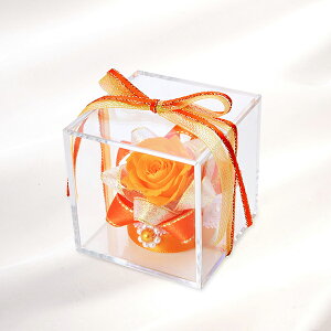 ԃ\G vU[uht[ ޏ fB[X  a LO MtgbsO Ini\G v[g ̓