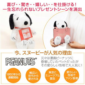 楽天市場 母の日 スヌーピー Snoopy シルバー ピアス 代 30代 彼女 レディース 女性 誕生日プレゼント 記念日 ギフトラッピング 送料無料 ジェイウェルドットコム