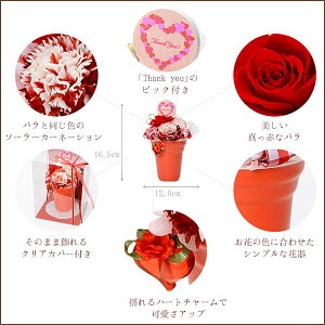 お花ソムリエ シルバー プリザーブドフラワー ダンシングストーン 揺れる 代 30代 彼女 レディース 女性 誕生日プレゼント 記念日 ギフトラッピング オハナソムリエ 送料無料 クリスマス