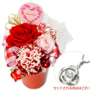 ԃ\G Vo[ vU[uht[ _VOXg[ h 20 30 ޏ fB[X  a LO MtgbsO Ini\G  ̓ v[g