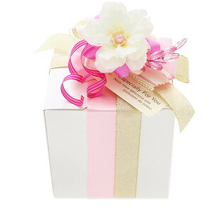 }V}bsO XyVbsO fB[X ޏ  t a LO v[g