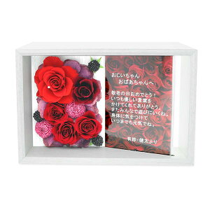 bZ[WzCgbh ԃ\G t[ fB[X ޏ  a MtgY ގ j a v[g