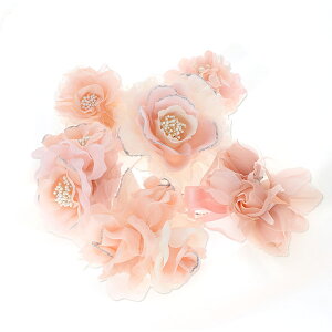 RT[W ԃ\G t[ fB[X ޏ  a Mtg v[g