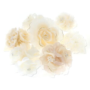 RT[W ԃ\G t[ fB[X ޏ  a Mtg v[g