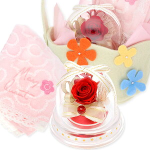  ^InJ` a v[g vU[uht[  uh }[NgnJ`&vU[uht[Zbg MtgbsO ԃ\G fB[X ޏ  a