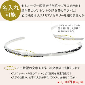 AQUA SILVERyAoOifB[XjN[|yPiwsz