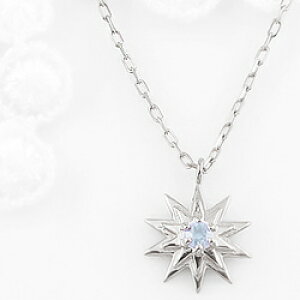 ANA} lbNX z `[t 悤 3a 18 y_g J[Xg[ a lbNX fB[X `F[ Vv v[g 󒍐 NX}X