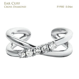 C[Jt NX CtBjeB  _Ch Vv fB[X v`i _C 5 0.04ct Pt900 4a v[g 󒍐 NX}X