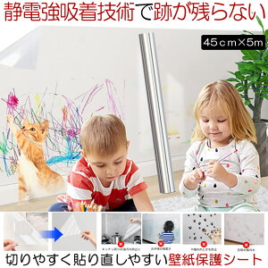 yǎz ǎ V[ NX  ǎیV[g   ͂ q n  gC hA q  ی V[g ÓdC  NA  EH[ Xeb